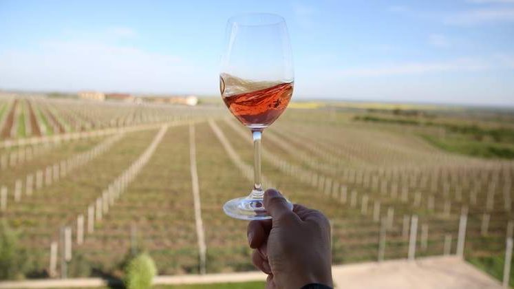 Romania a exportat anul trecut 14 milioane de litri de vin