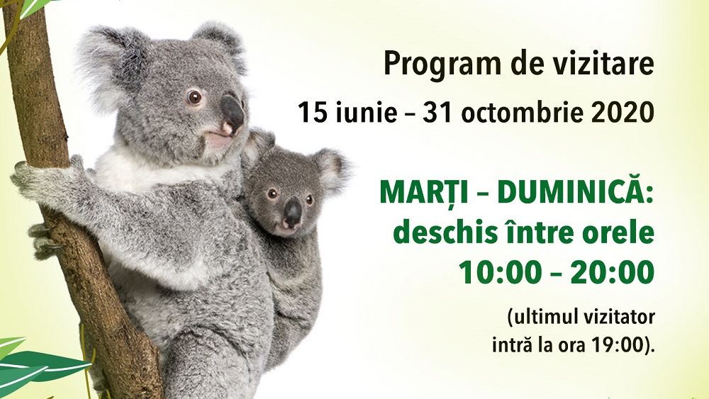 Vești bune pentru bucureșteni: Muzeul Antipa revine la programul normal de vizitare