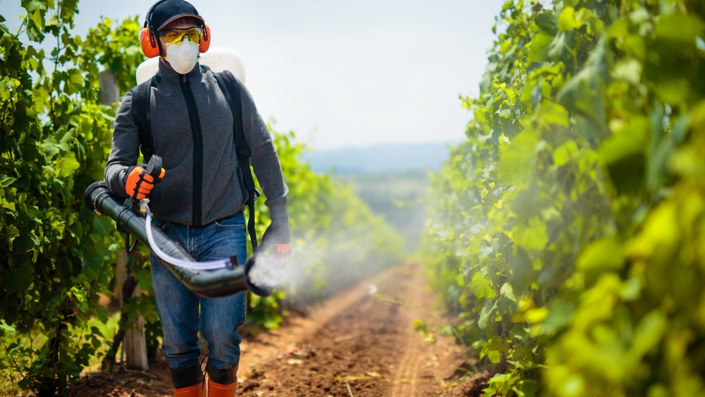 România, poartă de intrare în UE a pesticidelor ilegale din China?