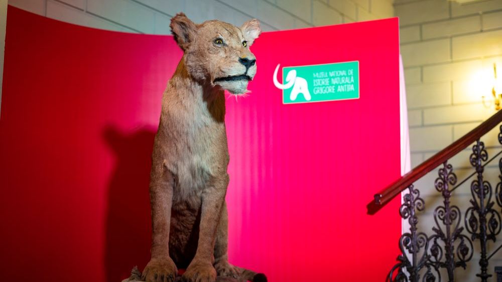 TOP lucruri de făcut în acest weekend. Unde puteți ieși în oraș la finalul acestei săptămâni