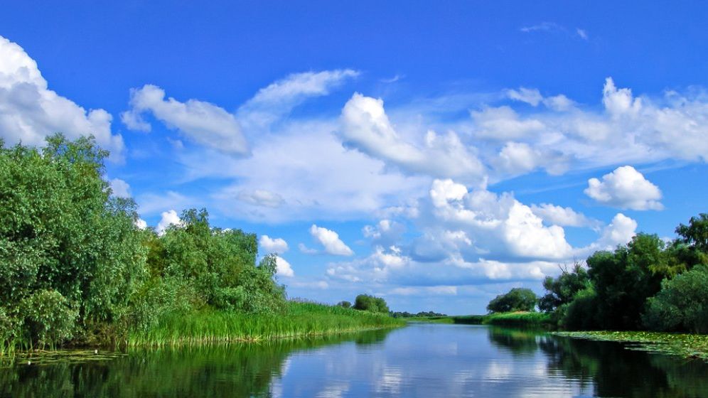 Administrator pensiune Delta Dunării: De Rusalii, e plin. Nu am apucat să scoatem o ofertă specială, pentru că s-a vândut instantaneu