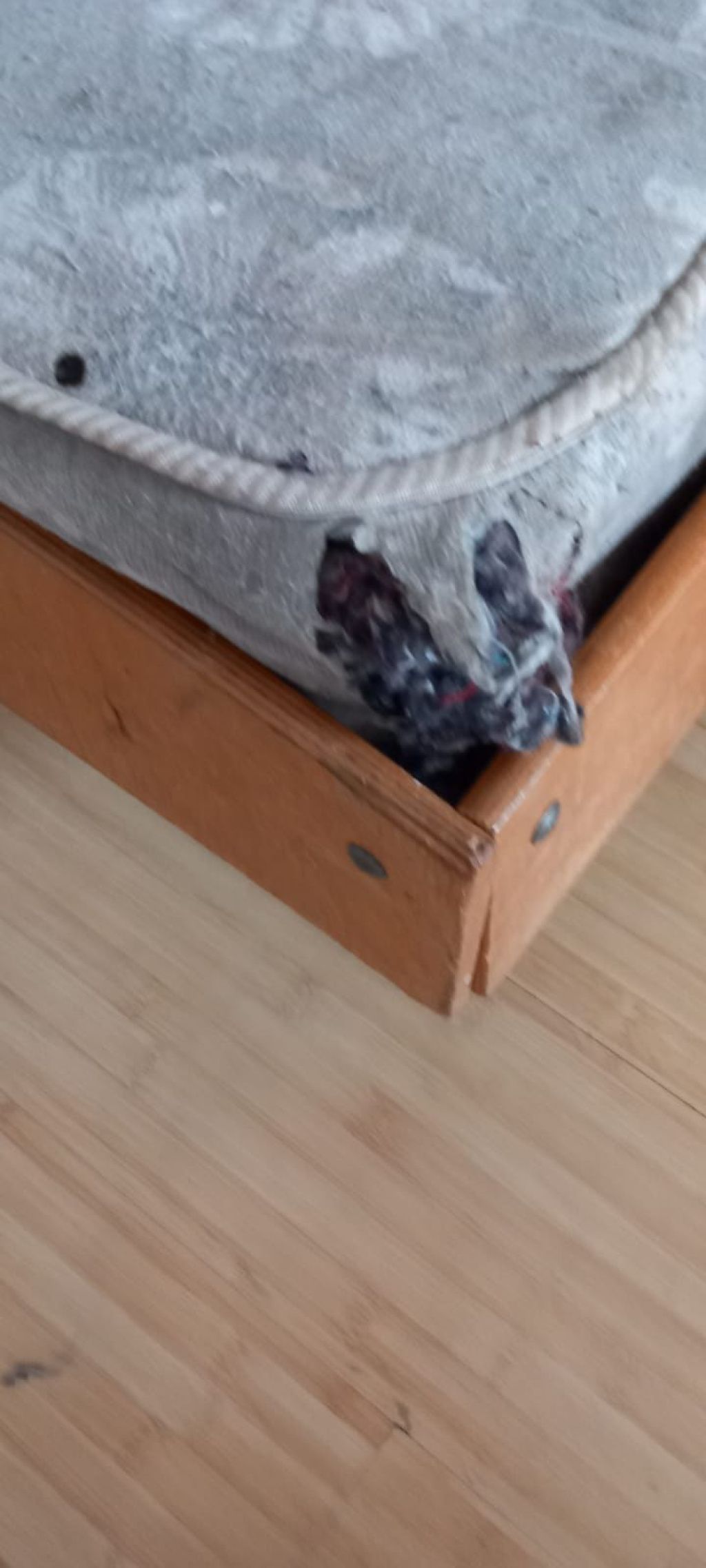 FOTO: Controale ANPC în campusurile universitare. Unele au fost deja închise. Piedone: "žCei care - Imagine 14