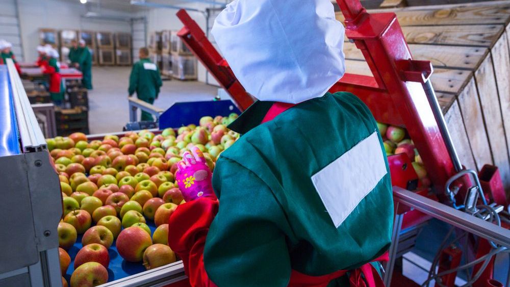 Joburi in Spania pentru romanii care vor sa lucreze in agricultura