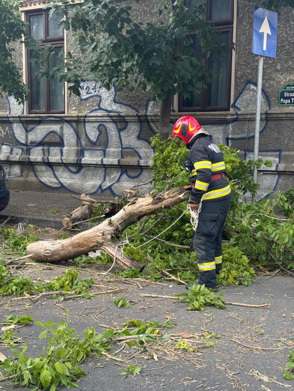 FOTO | Cod roșu de furtună: Mai mulți copaci din Capitală au căzut. O femeie și-a pierdut viaÈ - Imagine 5