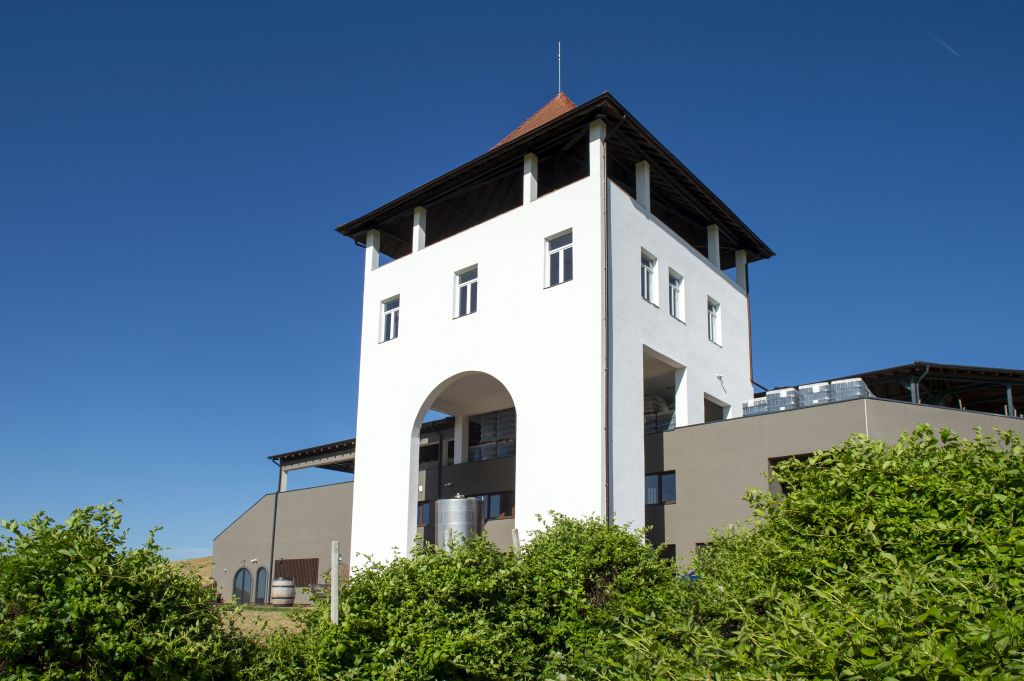 GALERIE FOTO: Cum arată crama Villa VinÃ¨a, după cele 2 milioane de euro investite în extinderea - Imagine 12