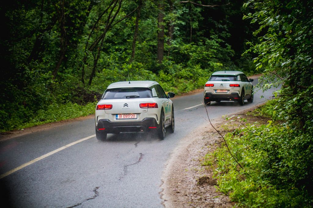 Citroen C4 Cactus - Imagine 7