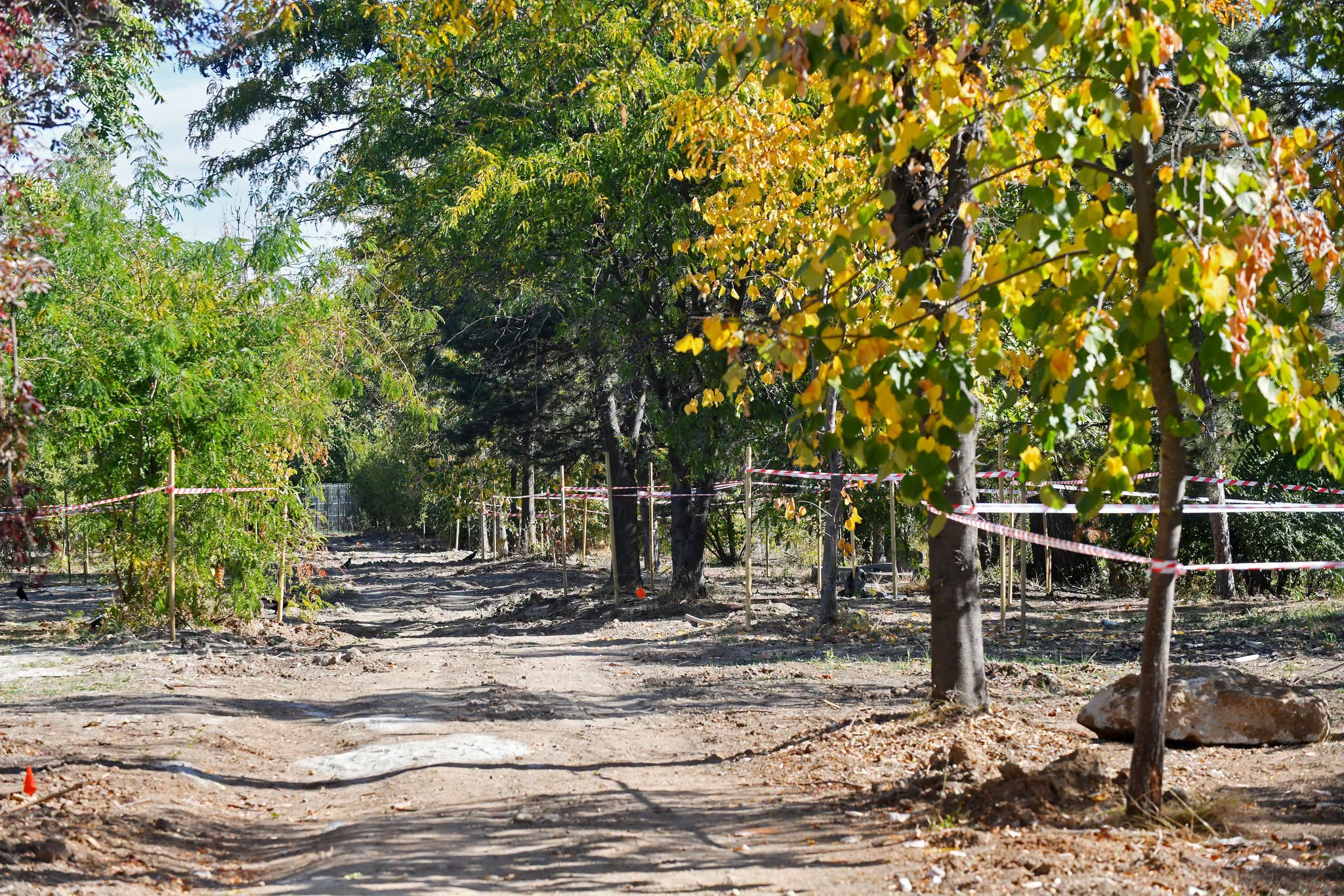 Un nou parc de 3,1 hectare prinde contur în București: turn de belvedere, terenuri de sport și zonă pentru un vagon de metrou