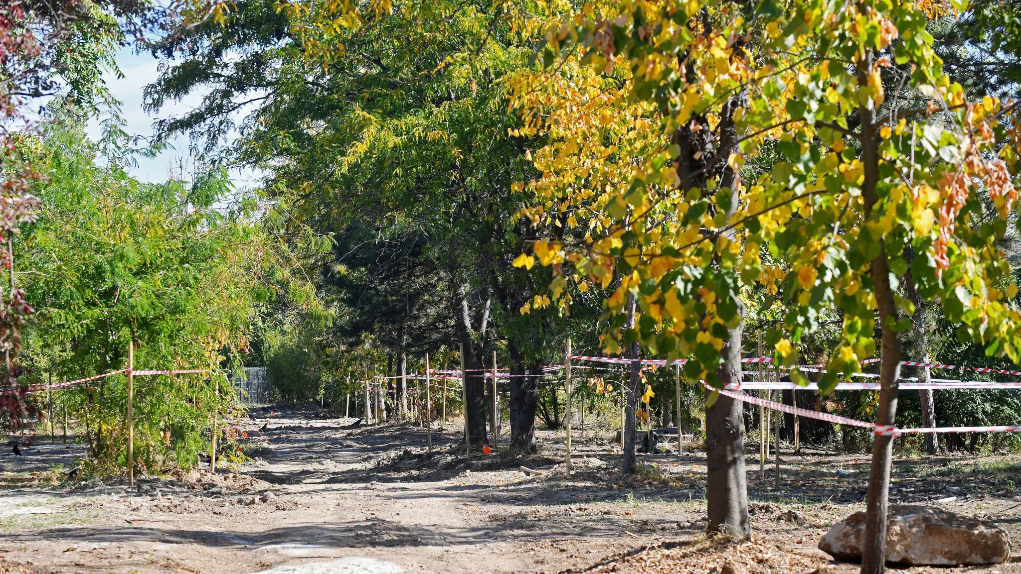 Un nou parc de 3,1 hectare prinde contur în București: turn de belvedere, terenuri de sport și zonă pentru un vagon de metrou