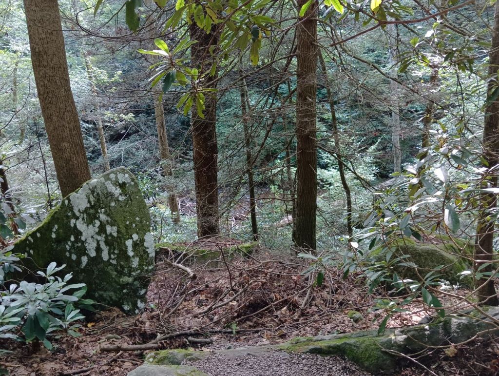 Cum arată Fallingwater, cea mai frumoasă casă din America, construită pe o cascadă - Imagine 60