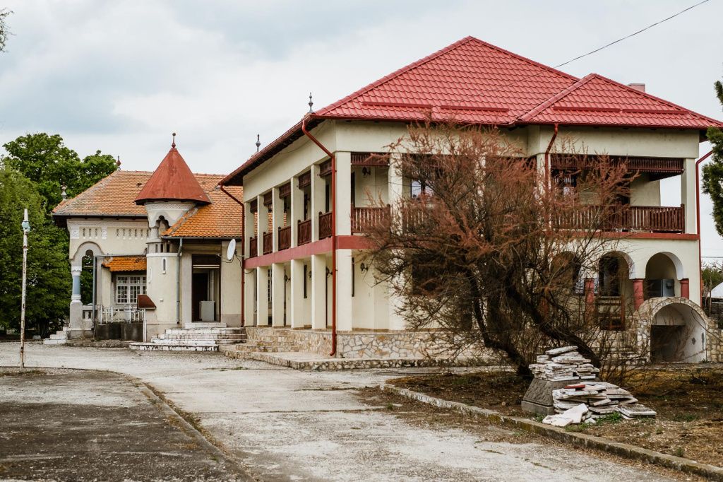 GALERIE FOTO | Unul dintre cele mai frumoase conace din România, scos la vânzare pentru 2 milioane - Imagine 12