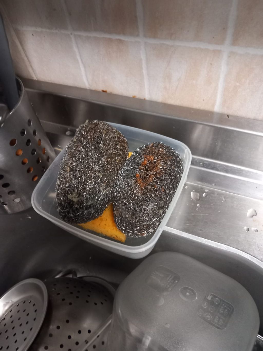 FOTO | Raid ANPC în Apaca: amenzi, restaurante închise și gândaci surprinși la masă - Imagine 10