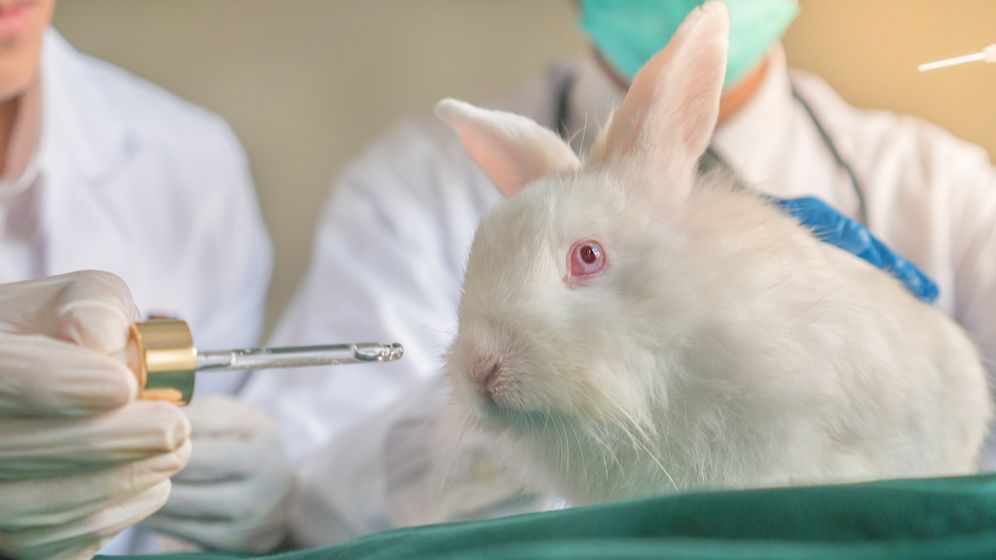 Care este prima țară care se pronunță asupra interzicerii totale a testelor pe animale