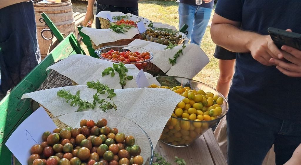 În lupta pentru fidelizarea clienților, Sezamo mizează pe Nasul roșu, ferma artizanală speciali - Imagine 2