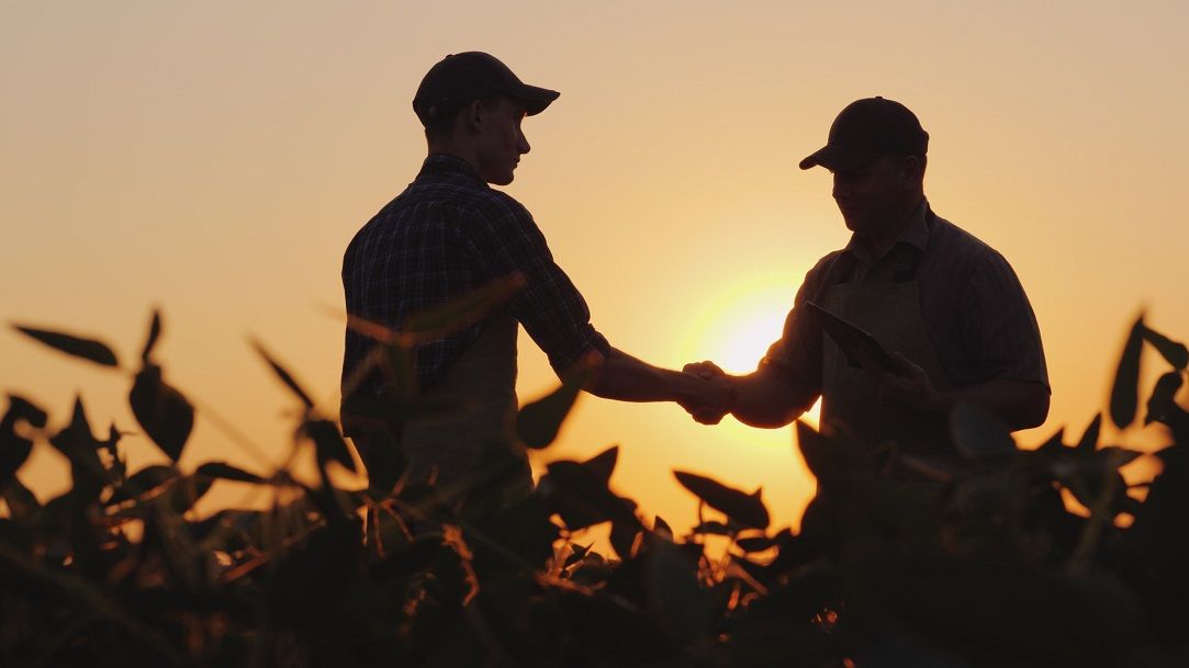 Comisia Europeană sprijină suplimentar sectoarele agricole şi alimentare, afectate de pandemie