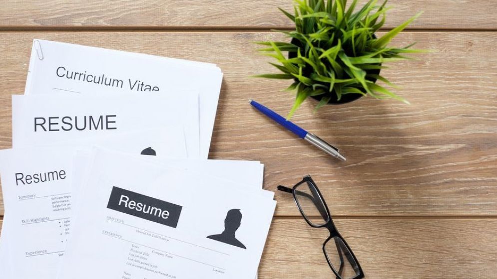 VIDEO: CV-ul care a făcut înconjurul lumii, după un concert Jonas Brothers