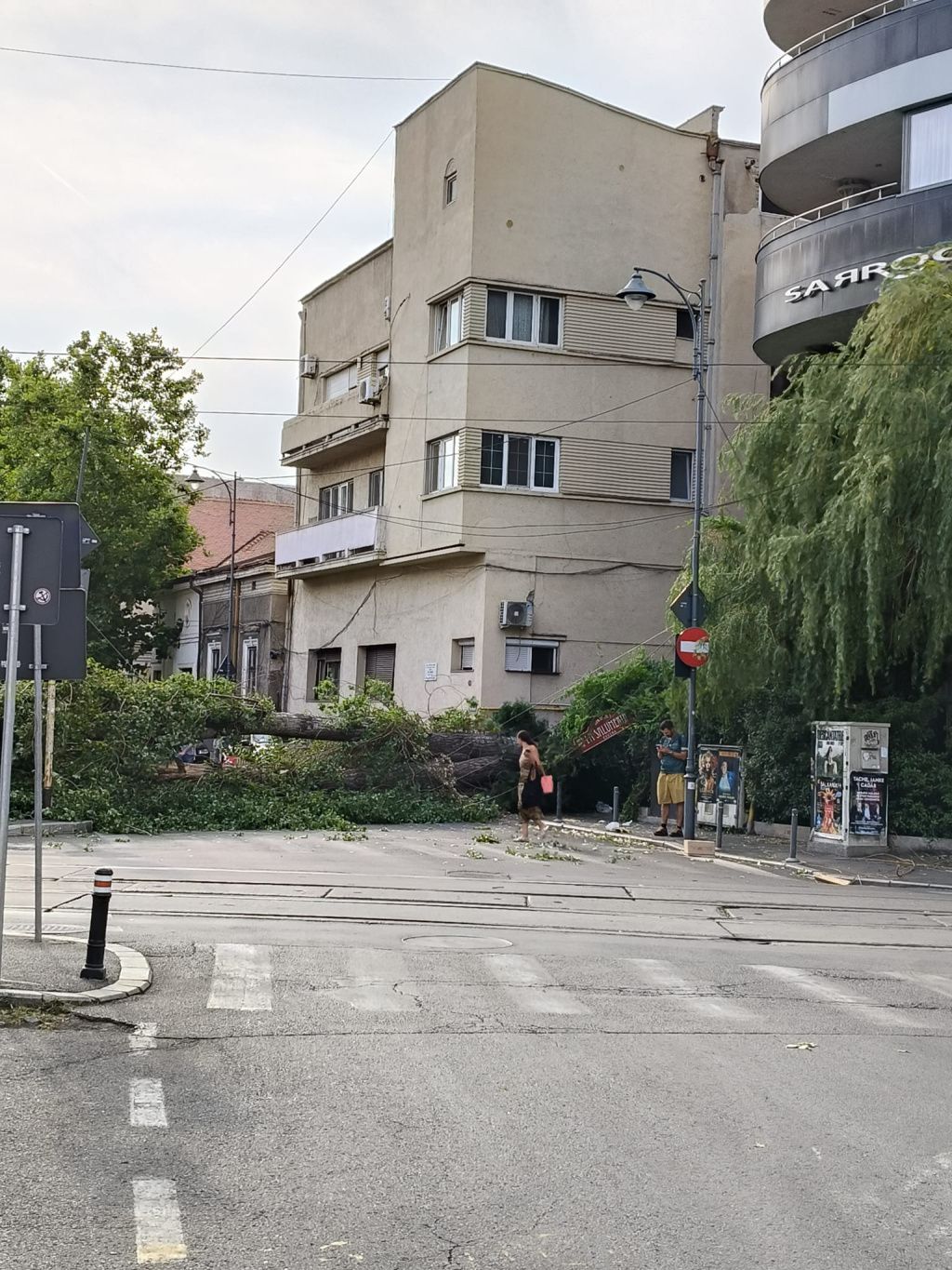 FOTO | Cod roșu de furtună: Mai mulți copaci din Capitală au căzut. O femeie și-a pierdut viaÈ - Imagine 9