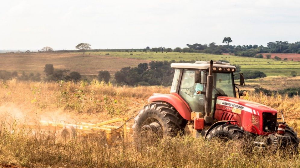 Ministrul Agriculturii, către fermieri: Toți cei sănătoși să iasă la câmp. Este posibil ca în toamnă să consumăm mai multe produse românești decât din import