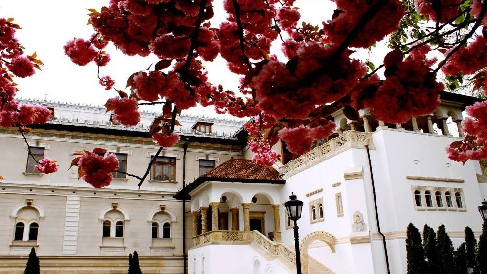 Palatul Cotroceni se deschide pentru vizitare. În ce perioadă poți vizita „casa” președinților României