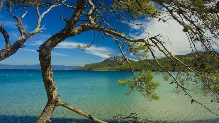Incendii puternice de vegetatie pe insula Thassos, frecventata de turisti romani