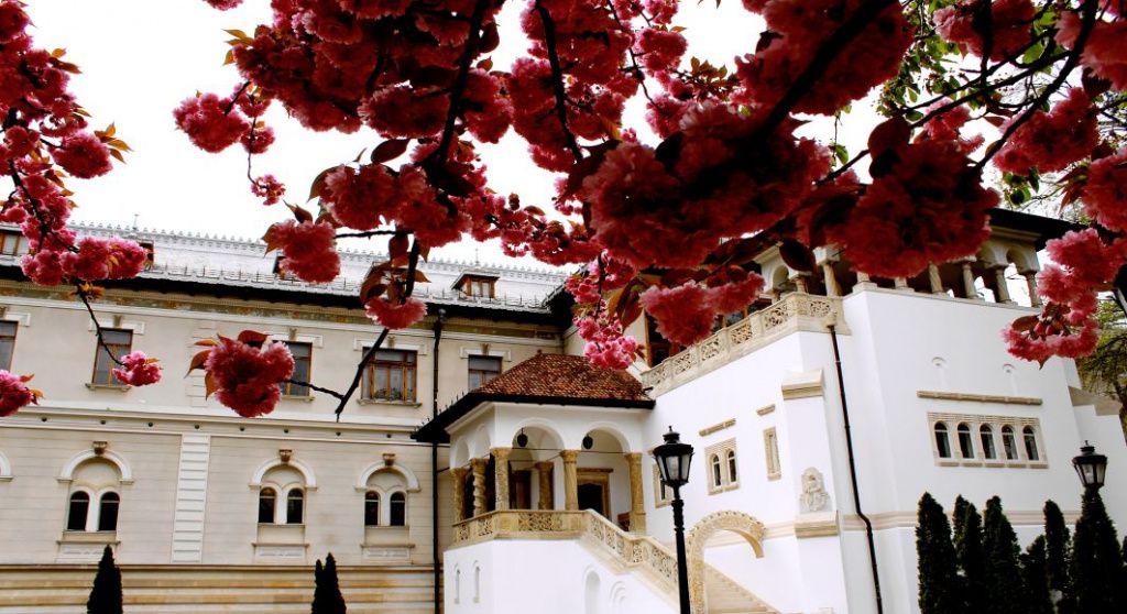 Palatul Cotroceni - Imagine 19