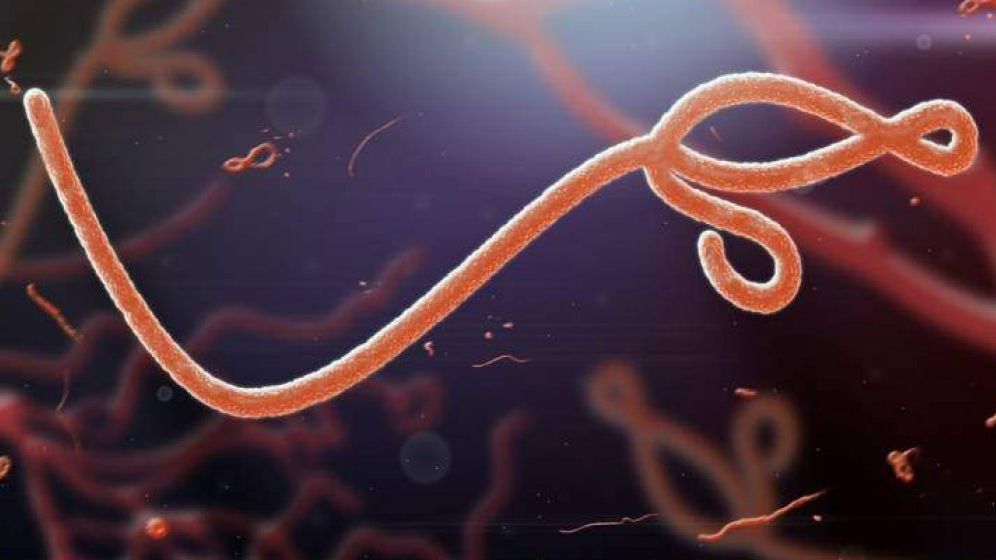 Ebola a început să reapară într-o țară din Africa