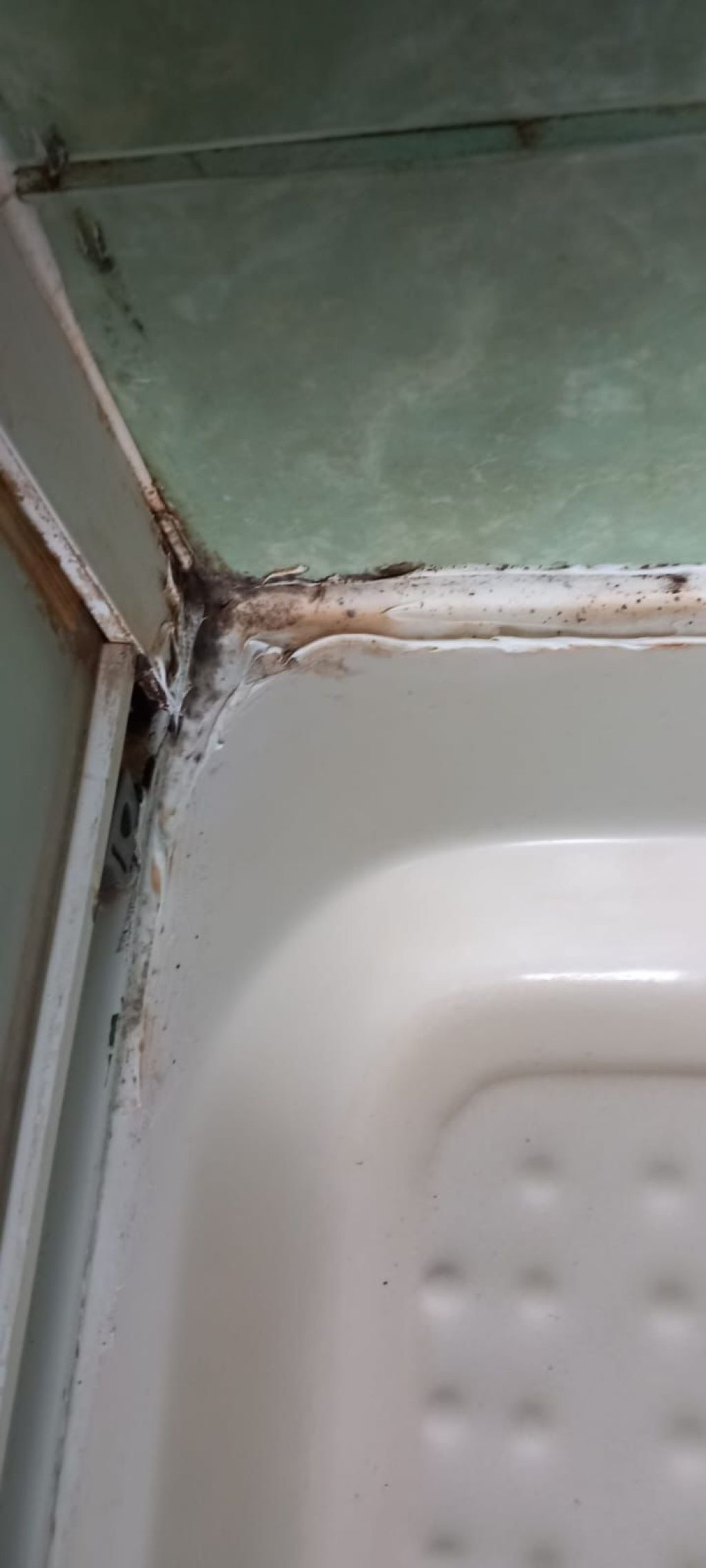 FOTO: Controale ANPC în campusurile universitare. Unele au fost deja închise. Piedone: "žCei care - Imagine 12