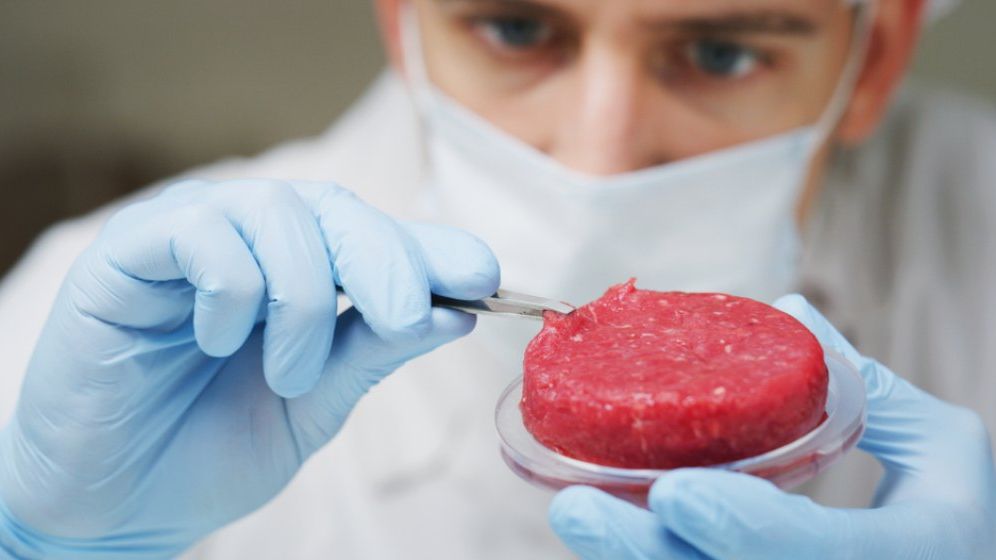 Au spun NU alimentelor sintetice. Care este prima țară din UE ce interzice mâncarea produsă în laborator
