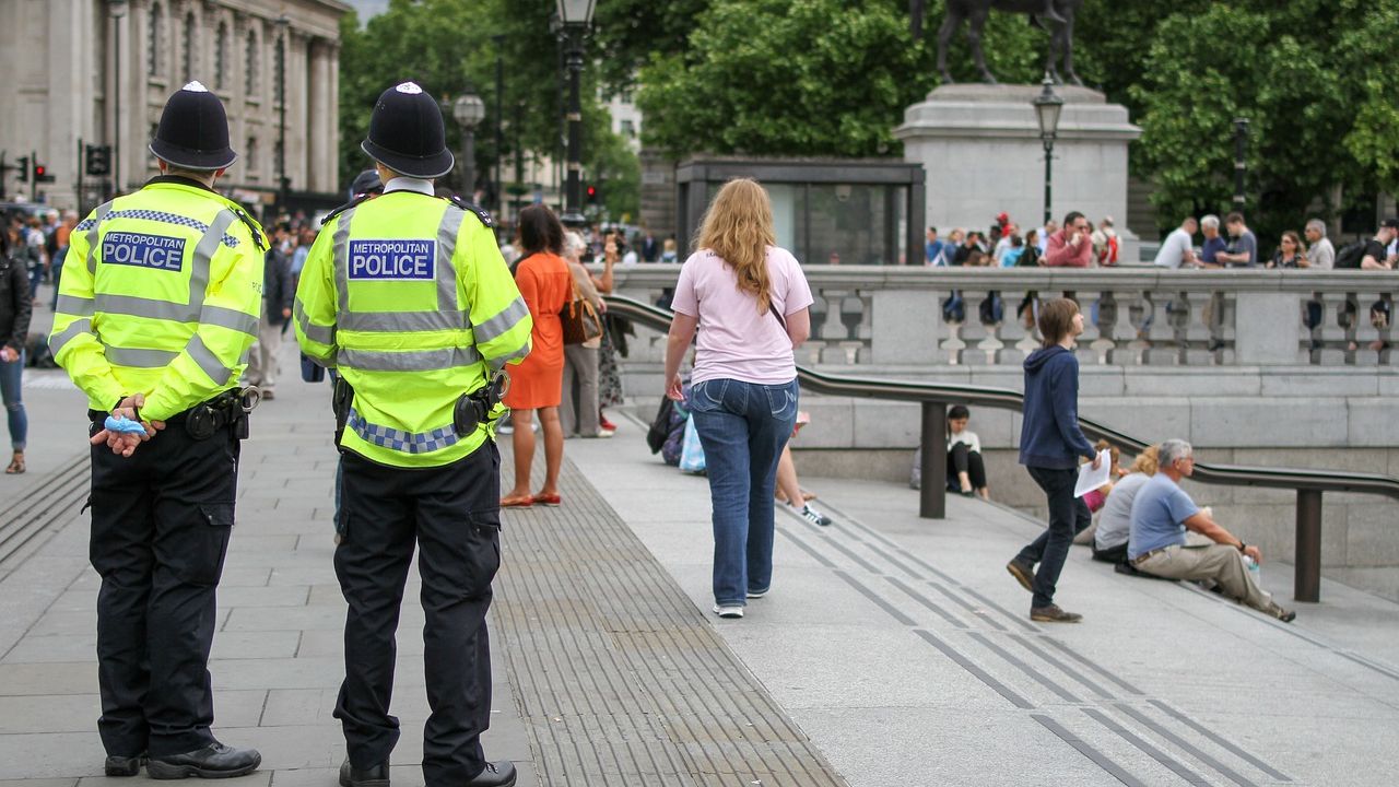 Politia britanica a impuscat un barbat in sudul Londrei intr-un incident terorist