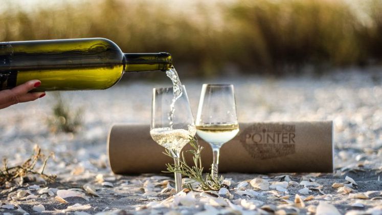 Afacere nascuta la picnic: o tanara romanca a reinventat paharul de vin pe care il vinde in SUA, Namibia, Bahrain sau Australia