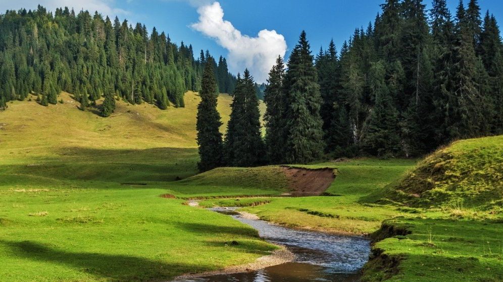 Ce valoare vor avea voucherele de vacanță anul viitor?