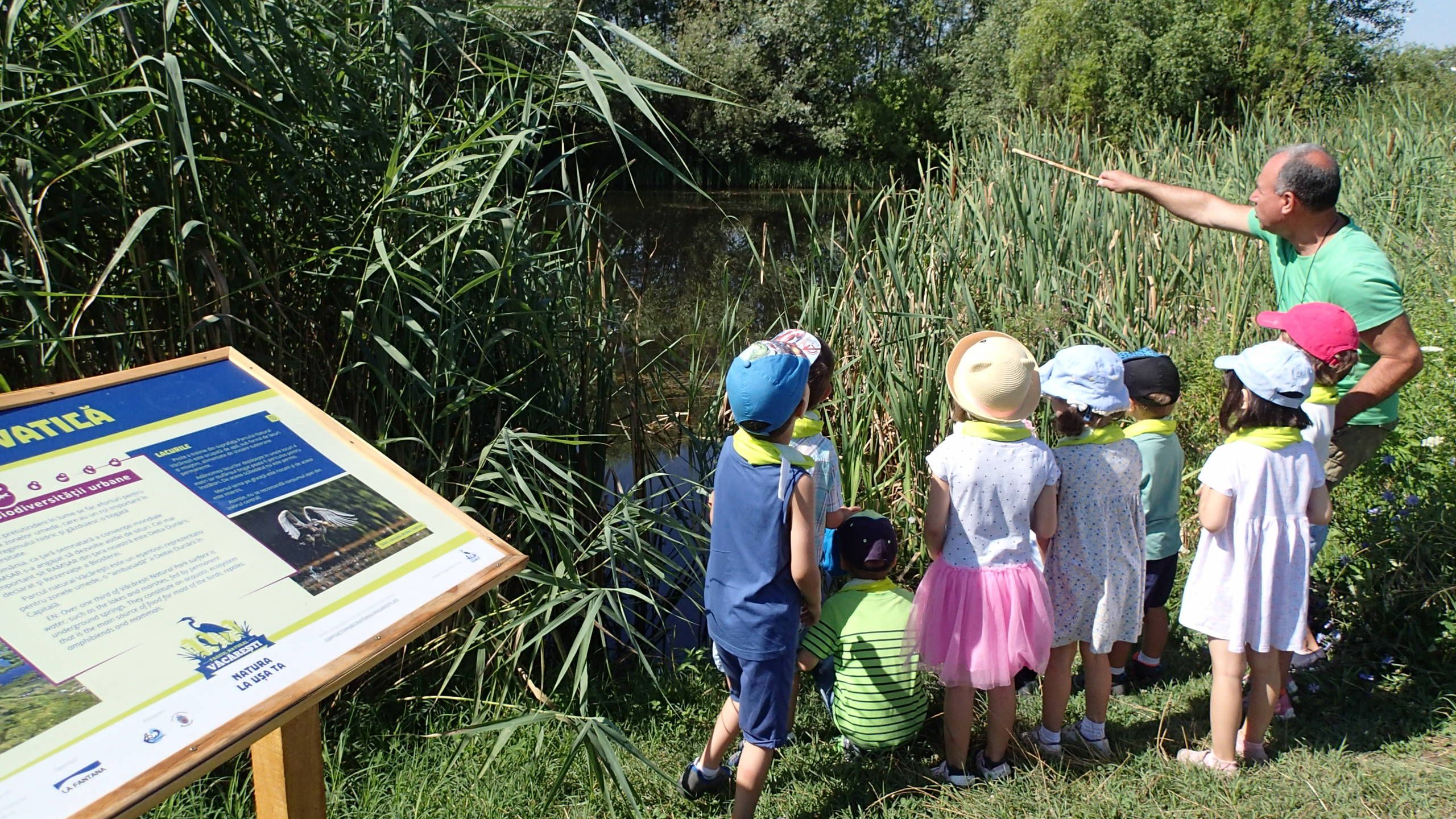 (P) Destinatie: educatie! Poteca Biodiversitatii Urbane din Parcul Natural Vacaresti este deschisa vizitatorilor, inclusiv cu tururi ghidate