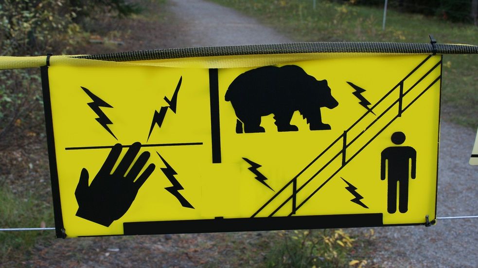 De teama urșilor, primarul din Râșnov vrea 5 km de garduri electrice în preajma orașului
