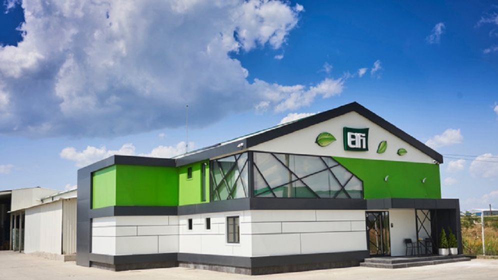Producătorul român de hârtie igienică Elfi a avut afaceri de 3 mil.euro în prima parte a anului