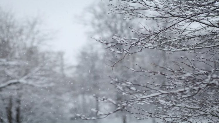 Cod galben de ninsori viscolite in zonele de munte din 25 de judete. Precipitatii mixte in estul si sud-estul tarii