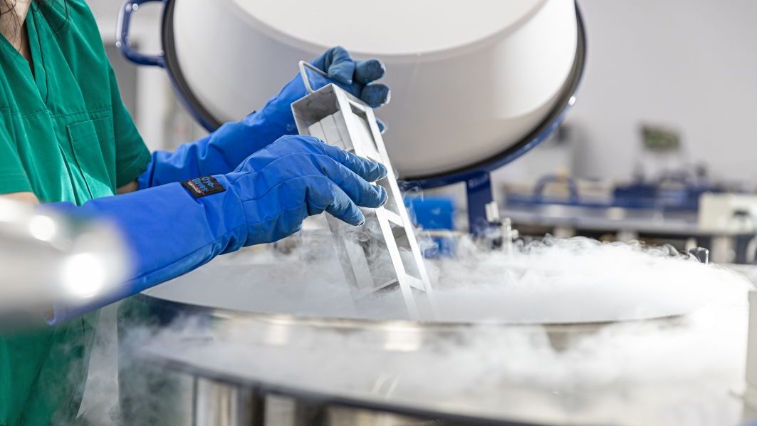 Celulele stem continuă să fie speranța medicinei secolului XXI: SUA a autorizat primul produs obținut prin multiplicarea celulelor stem din sângele de cordon ombilical