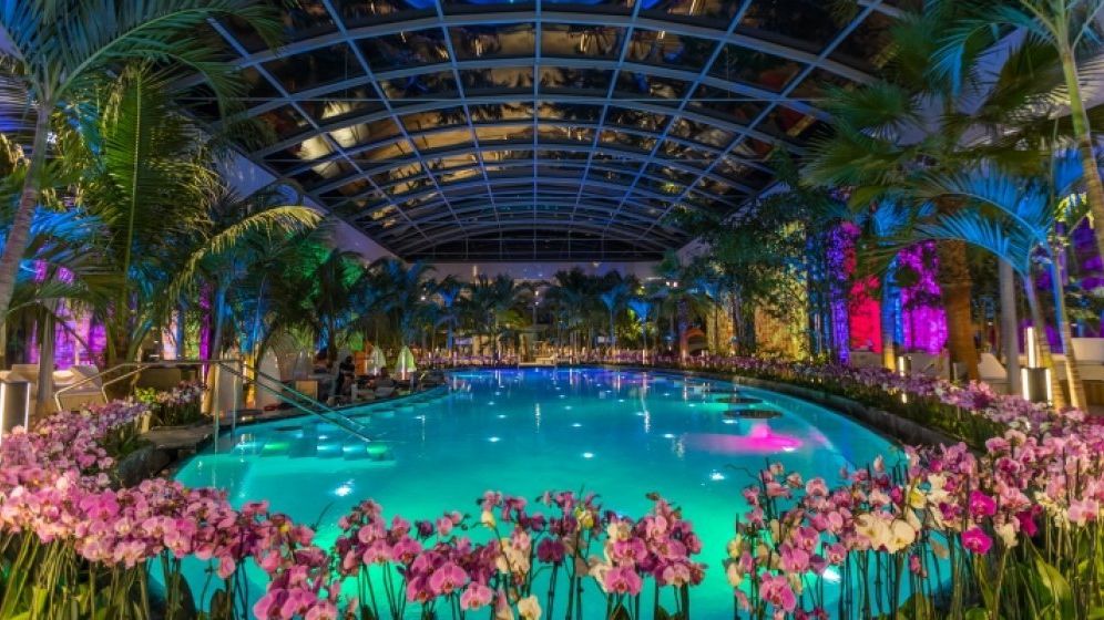 Cel mai mare complex de wellness din Europa a ajuns la 4 milioane de vizitatori