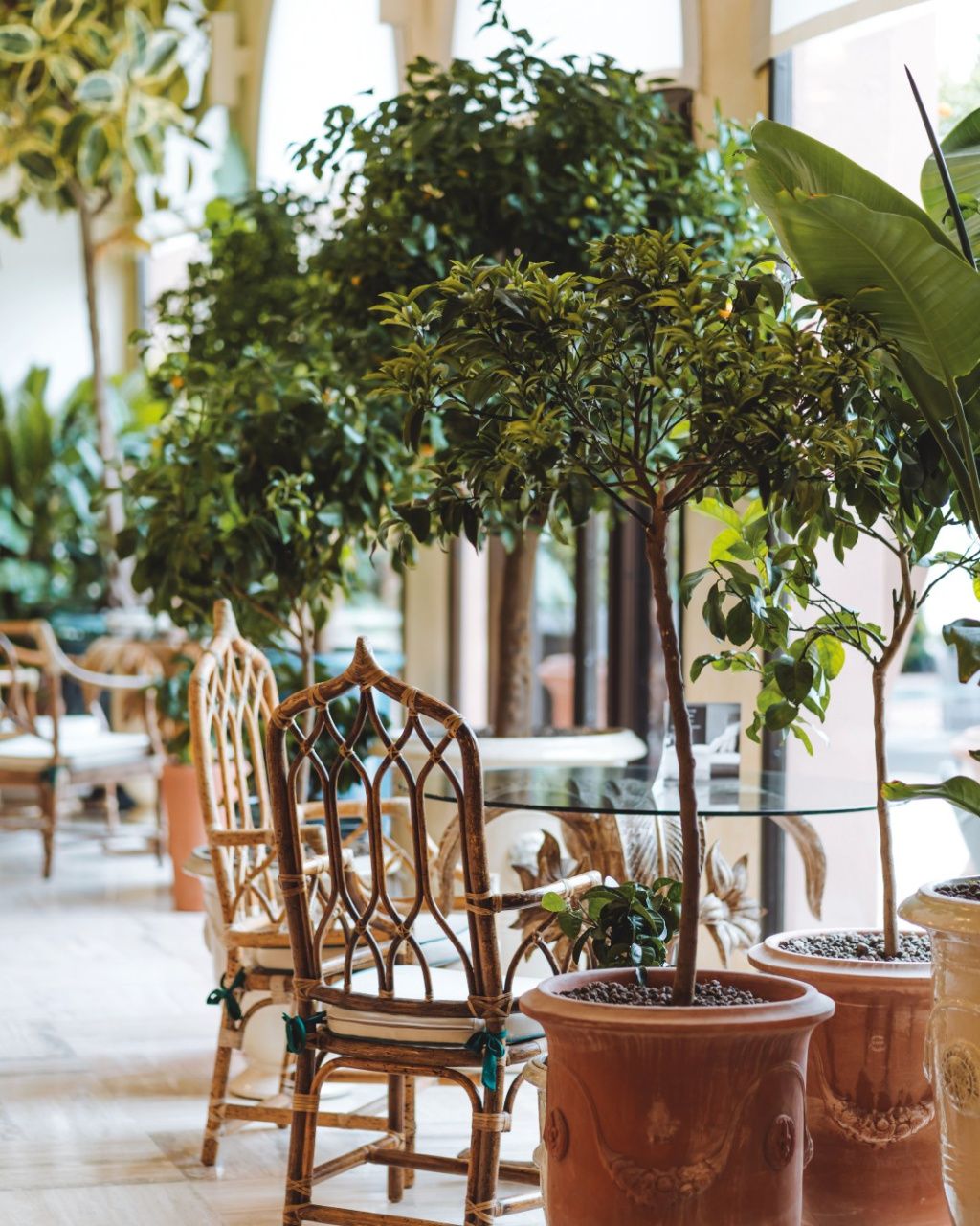 [GALERIE FOTO] Cum arată hotelul din Italia declarat cel mai bun din lume - Imagine 6