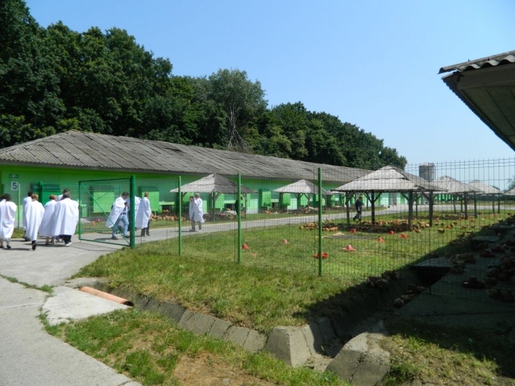 Agricola Bacau - Imagine 12