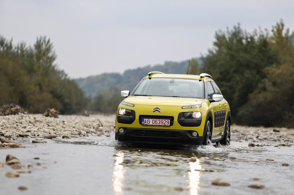 Citroen C4 Cactus - Imagine 16