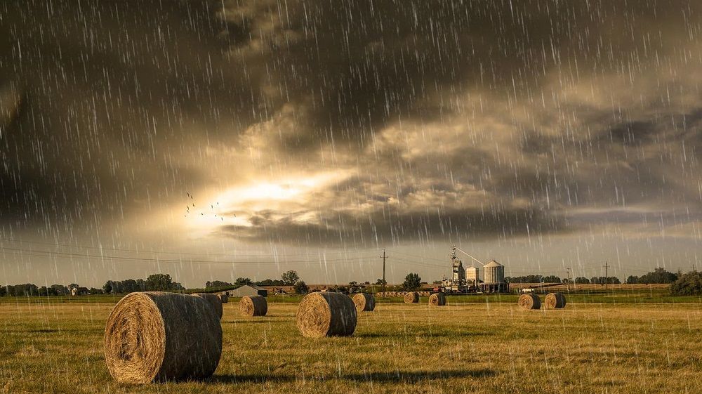 Prognoză meteo ANM: Cod galben în zonele montane. Cum va fi vremea în București
