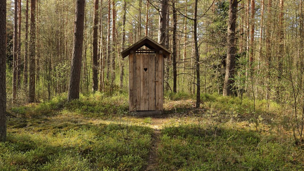 Statistică: 1 din 10 școli din județul Olt au grupul sanitar în curte. 20% nu au aviz sanitar