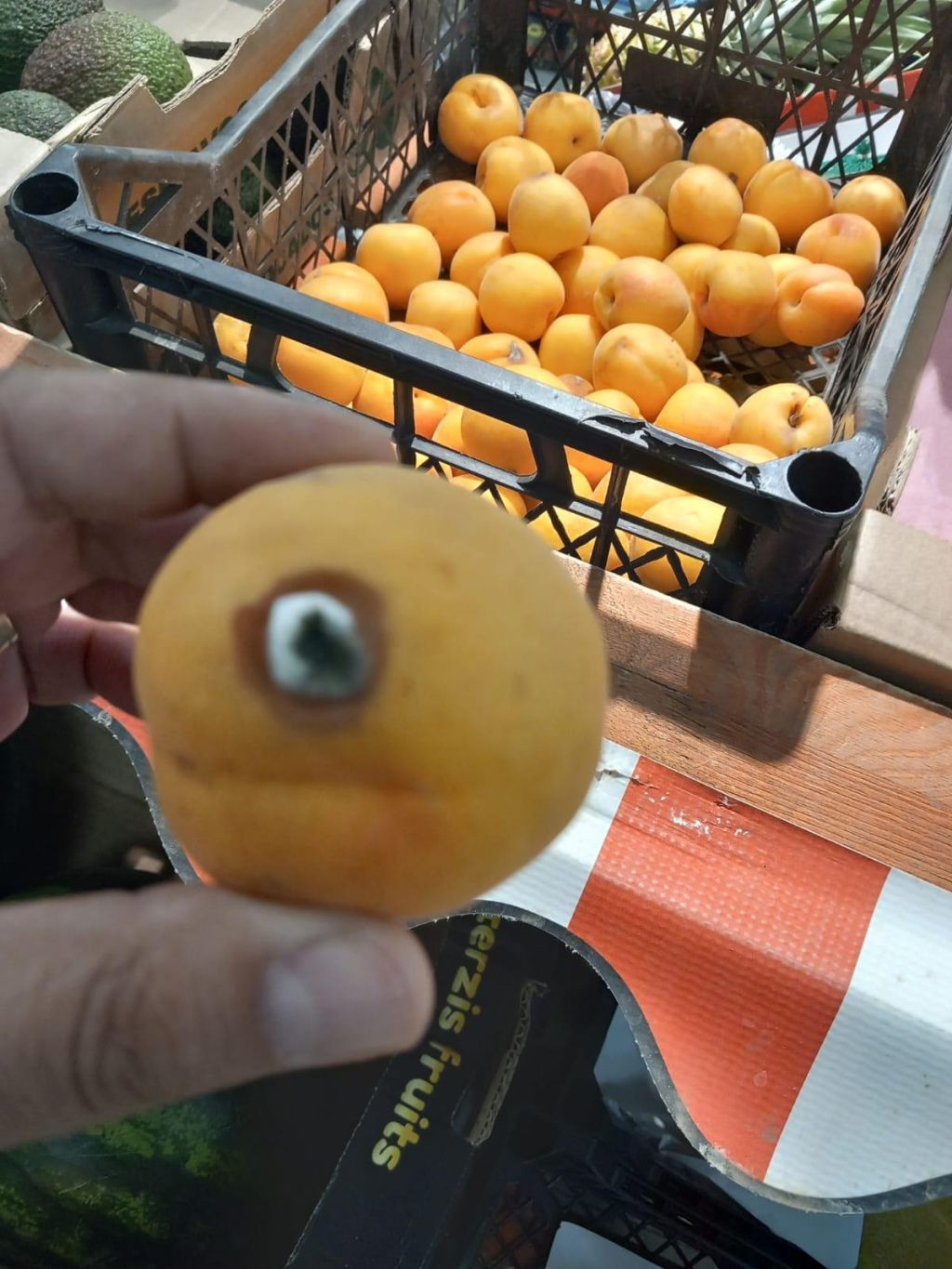 FOTO | Amenzi ANPC pentru magazine din rețelele Mega Image, Lidl, Profi, Kaufland, Carrefour și Au - Imagine 28