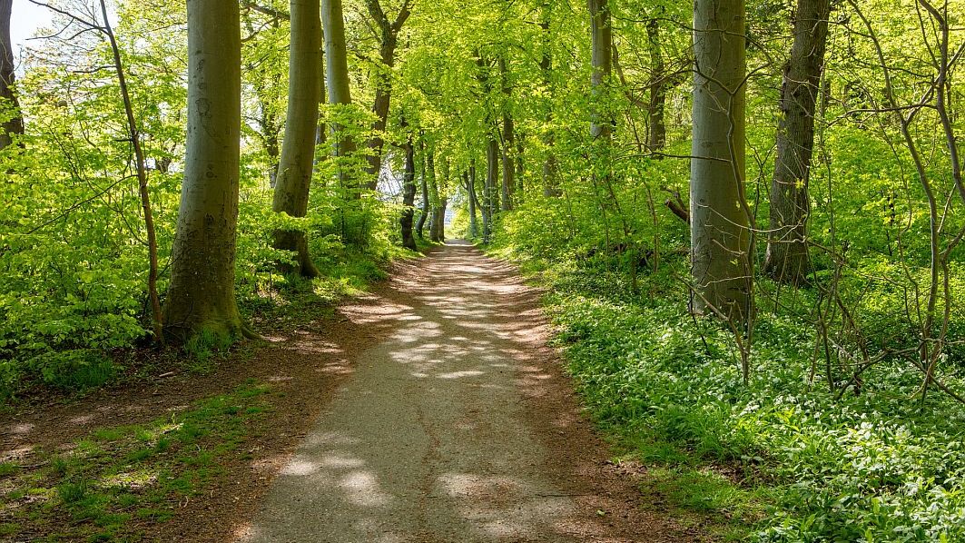 JYSK și Code for Romania anunță un parteneriat pentru o Românie mai puțin poluată