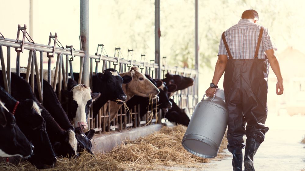 Noi fonduri pentru sustinerea fermierilor in 2019: ce bani vor primi in plus agricultorii