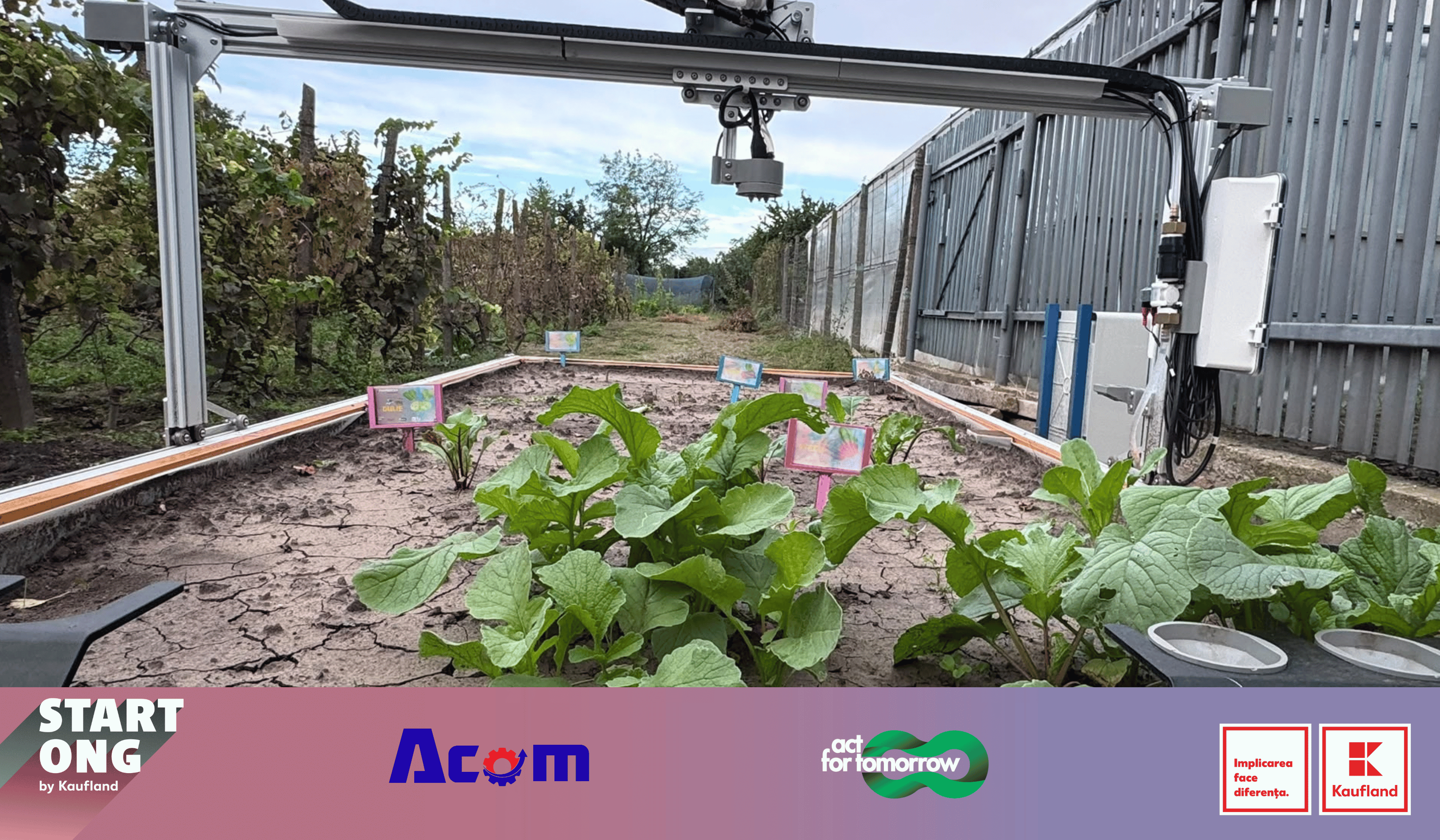 De la programare la grădină: elevii din Galați au pus în funcțiune un robot care cultivă plante cu ajutorul AI
