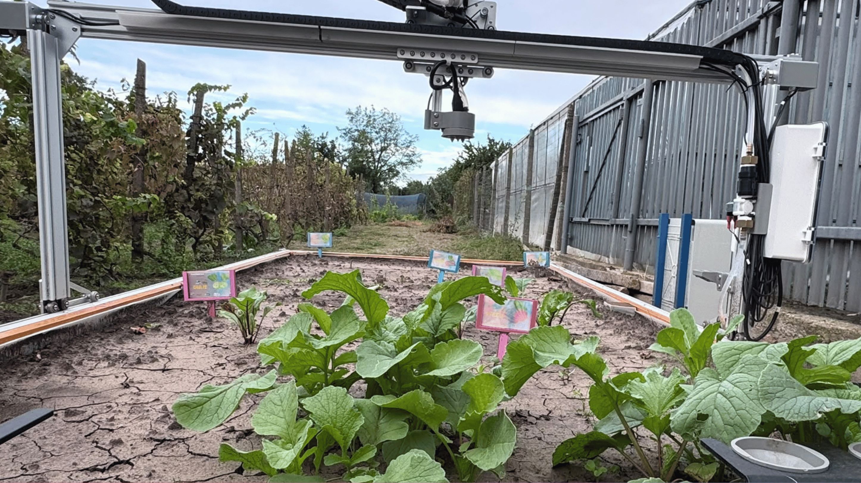 De la programare la grădină: elevii din Galați au pus în funcțiune un robot care cultivă plante cu ajutorul AI