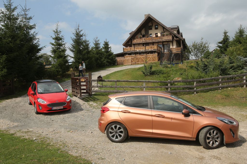 Ford Fiesta - Imagine 24