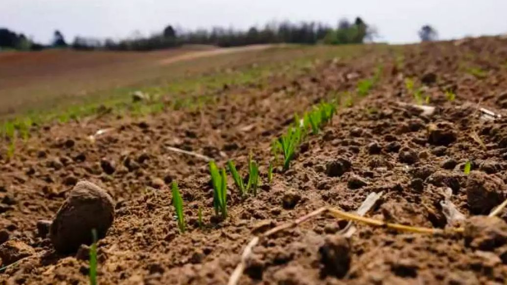 Preţul mediu al terenului arabil din România este mai mare decât în Franţa
