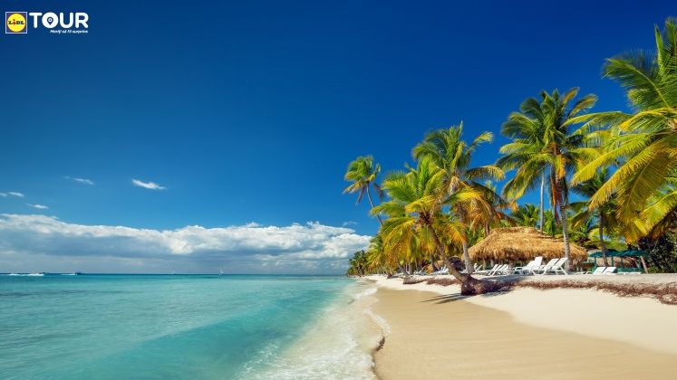 Lidl intra pe piata serviciilor turistice si lanseaza un magazin online unde romanii isi pot cumpara vacante