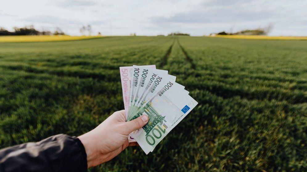 Fermierii scapă de presiunea ROBOR: se aprobă Creditul fermierului. Totodată, Guvernul va acoperi și 50% din energia folosită la irigații